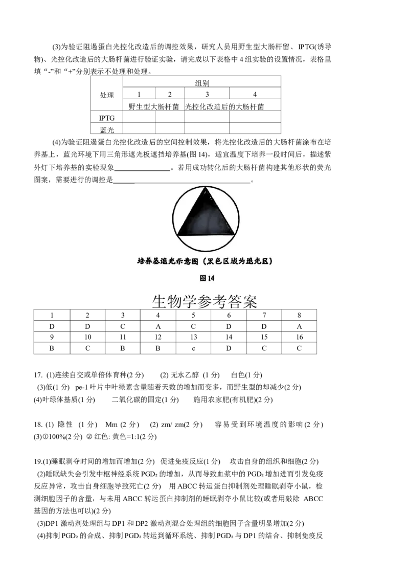 2025届广东省深圳市高三下学期第一次调研考试生物学试题（含答案）_2025年2月_2502202025届广东省深圳市高三下学期第一次调研考试（全科）