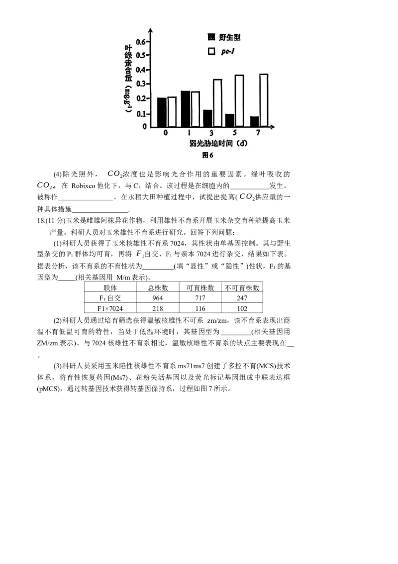2025届广东省深圳市高三下学期第一次调研考试生物学试题（含答案）_2025年2月_2502202025届广东省深圳市高三下学期第一次调研考试（全科）