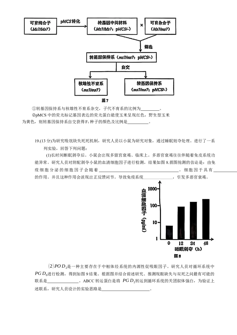 2025届广东省深圳市高三下学期第一次调研考试生物学试题（含答案）_2025年2月_2502202025届广东省深圳市高三下学期第一次调研考试（全科）