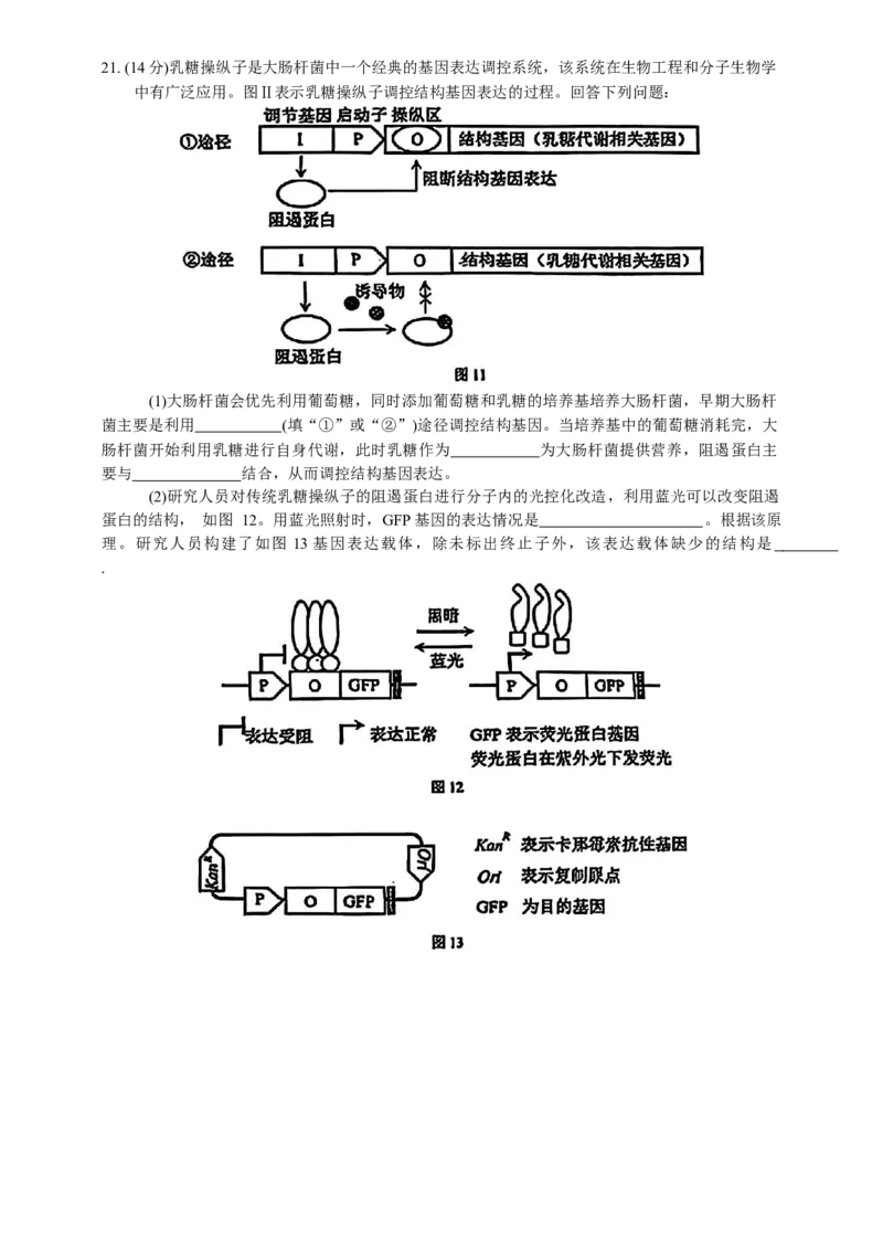 2025届广东省深圳市高三下学期第一次调研考试生物学试题（含答案）_2025年2月_2502202025届广东省深圳市高三下学期第一次调研考试（全科）