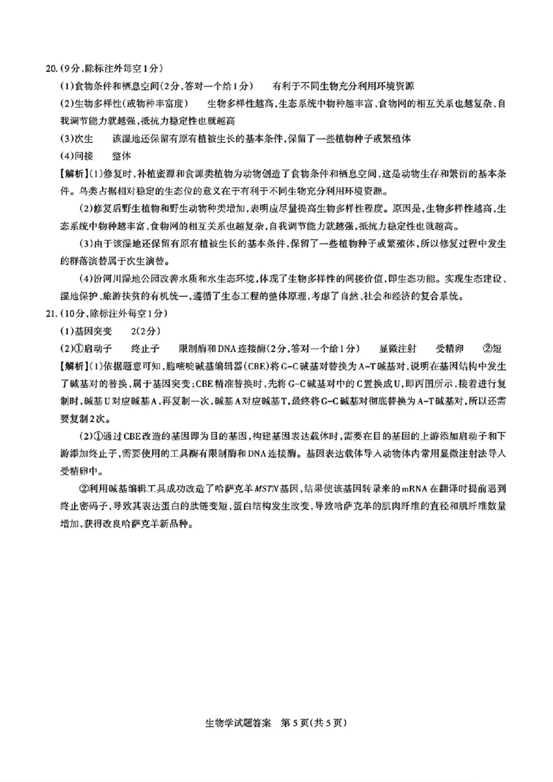 2025届山西省高三下学期考前适应性测试启航（一模）生物试卷（含答案）_2025年2月_250224山西省2025届高三下学期考前适应性测试启航卷（一模）（全科）