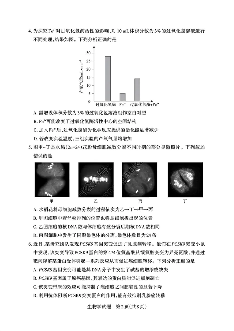 2025届山西省高三下学期考前适应性测试启航（一模）生物试卷（含答案）_2025年2月_250224山西省2025届高三下学期考前适应性测试启航卷（一模）（全科）