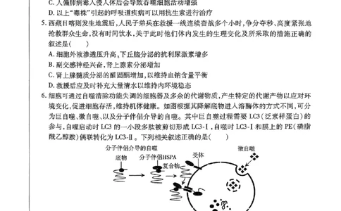 2025年东北三省四市教研联合体高考模拟试题（二）生物_2025年5月_2505112025年东北三省四市教研联合体高考模拟试题（二）（全科）