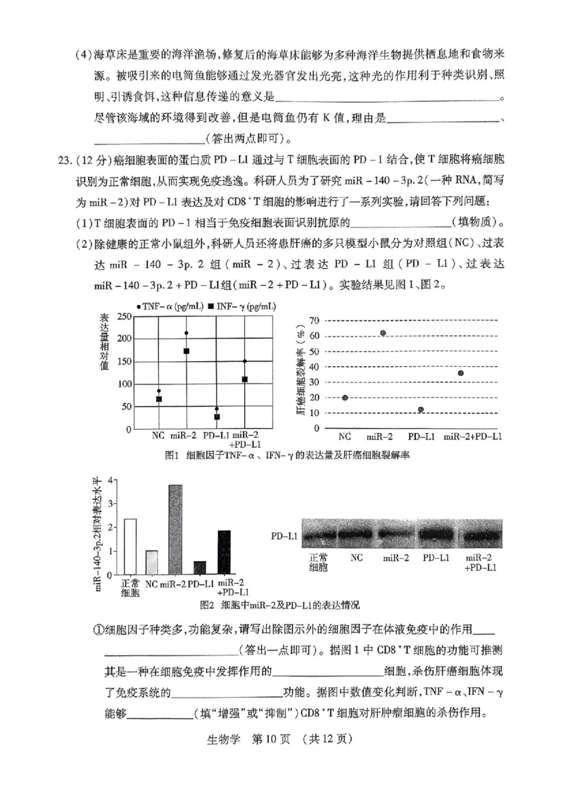 2025年东北三省四市教研联合体高考模拟试题（二）生物_2025年5月_2505112025年东北三省四市教研联合体高考模拟试题（二）（全科）