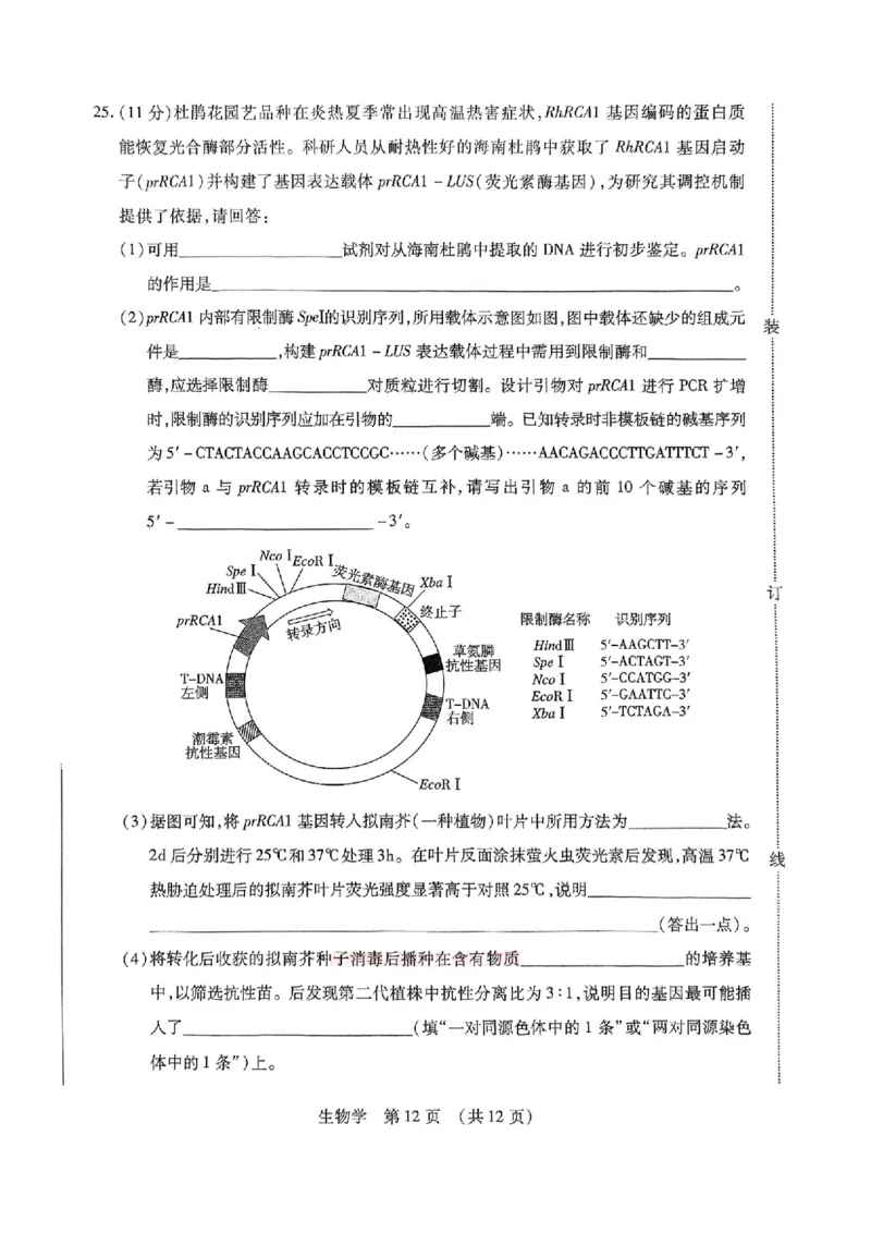 2025年东北三省四市教研联合体高考模拟试题（二）生物_2025年5月_2505112025年东北三省四市教研联合体高考模拟试题（二）（全科）