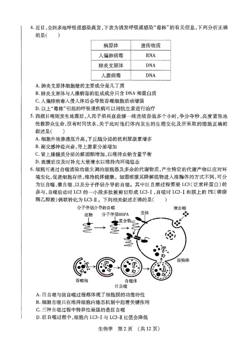 2025年东北三省四市教研联合体高考模拟试题（二）生物_2025年5月_2505112025年东北三省四市教研联合体高考模拟试题（二）（全科）