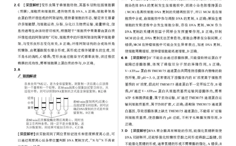 东北精准教学联盟高三10月---生物学强化卷解析_2025年10月_12026年试卷教辅资源等多个文件_251031东北三省精准教学联盟2026届高三10月联考强化卷