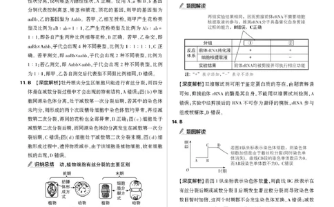 东北精准教学联盟高三10月---生物学强化卷解析_2025年10月_12026年试卷教辅资源等多个文件_251031东北三省精准教学联盟2026届高三10月联考强化卷