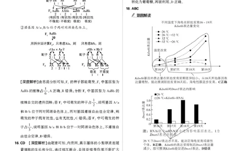 东北精准教学联盟高三10月---生物学强化卷解析_2025年10月_12026年试卷教辅资源等多个文件_251031东北三省精准教学联盟2026届高三10月联考强化卷
