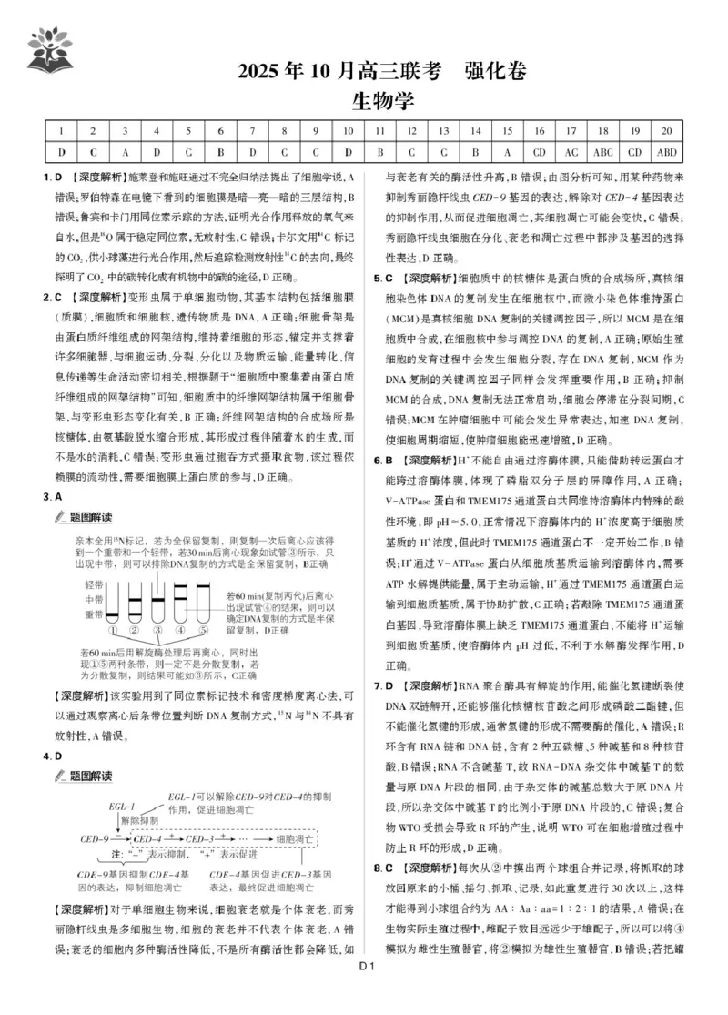 东北精准教学联盟高三10月---生物学强化卷解析_2025年10月_12026年试卷教辅资源等多个文件_251031东北三省精准教学联盟2026届高三10月联考强化卷