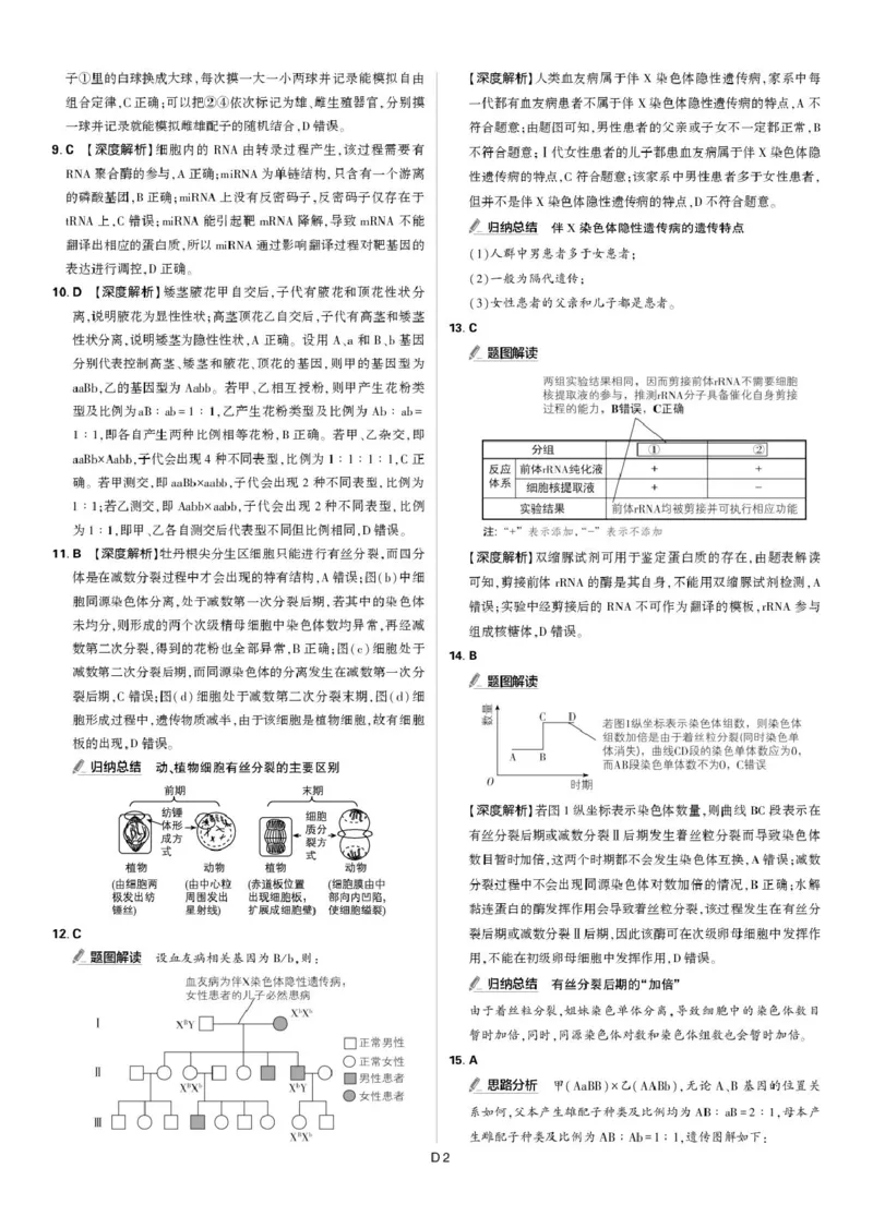 东北精准教学联盟高三10月---生物学强化卷解析_2025年10月_12026年试卷教辅资源等多个文件_251031东北三省精准教学联盟2026届高三10月联考强化卷