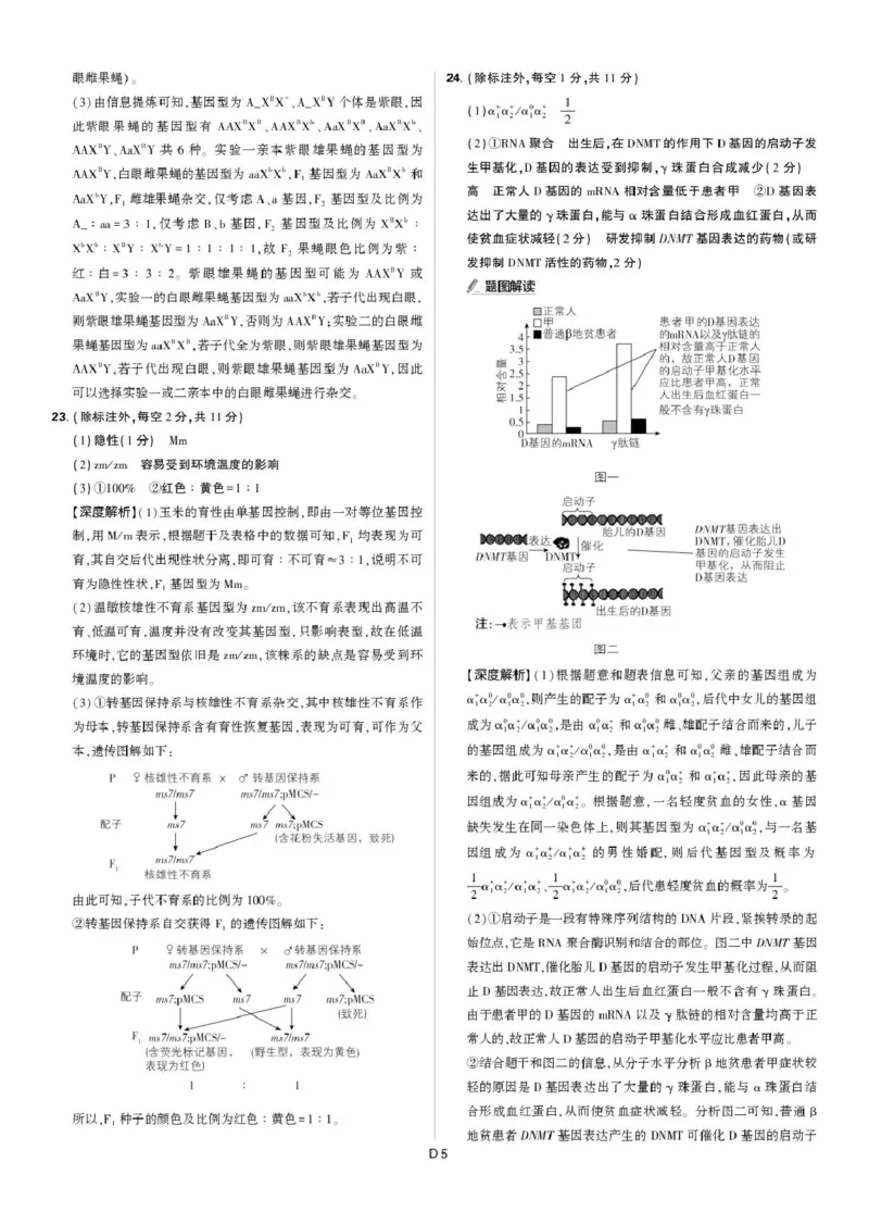 东北精准教学联盟高三10月---生物学强化卷解析_2025年10月_12026年试卷教辅资源等多个文件_251031东北三省精准教学联盟2026届高三10月联考强化卷