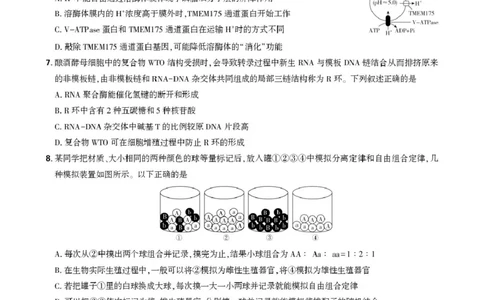 东北精准教学联盟高三10月---生物学强化卷试卷_2025年10月_12026年试卷教辅资源等多个文件_251031东北三省精准教学联盟2026届高三10月联考强化卷