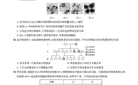 东北精准教学联盟高三10月---生物学强化卷试卷_2025年10月_12026年试卷教辅资源等多个文件_251031东北三省精准教学联盟2026届高三10月联考强化卷