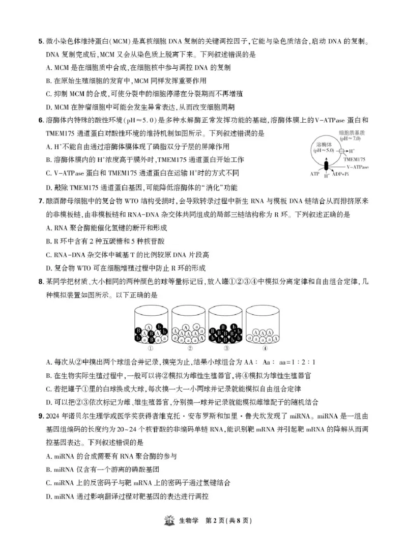 东北精准教学联盟高三10月---生物学强化卷试卷_2025年10月_12026年试卷教辅资源等多个文件_251031东北三省精准教学联盟2026届高三10月联考强化卷