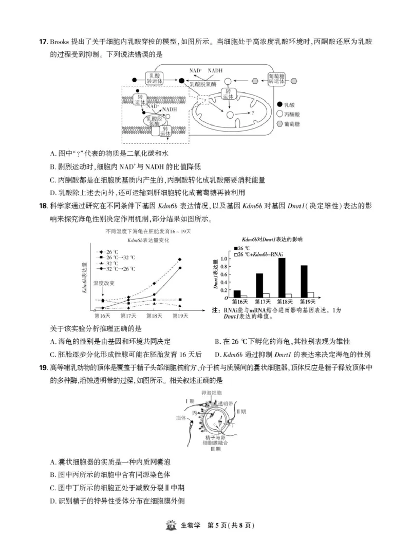 东北精准教学联盟高三10月---生物学强化卷试卷_2025年10月_12026年试卷教辅资源等多个文件_251031东北三省精准教学联盟2026届高三10月联考强化卷