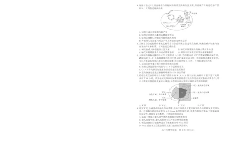 25届武汉市二月调考生物试卷_2025年2月_250228武汉市2025届高中毕业生二月调研考试（全科）_武汉市2025届高中毕业生二月调研考试生物