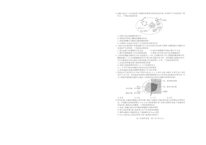 25届武汉市二月调考生物试卷_2025年2月_250228武汉市2025届高中毕业生二月调研考试（全科）_武汉市2025届高中毕业生二月调研考试生物