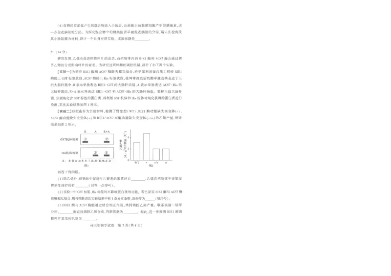 25届武汉市二月调考生物试卷_2025年2月_250228武汉市2025届高中毕业生二月调研考试（全科）_武汉市2025届高中毕业生二月调研考试生物