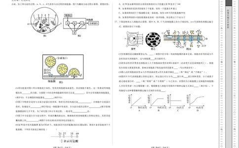高一生物期中模拟卷测试范围：第1~4章（考试版A3）（天津专用）_1多考区联考试卷_1021高一期中模拟卷（天津专用）黄金卷：2024-2025学年高一上学期期中模拟考试