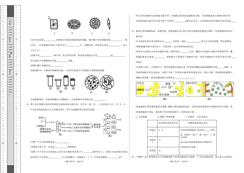 高一生物期中模拟卷测试范围：第1~4章（考试版A3）（天津专用）_1多考区联考试卷_1021高一期中模拟卷（天津专用）黄金卷：2024-2025学年高一上学期期中模拟考试