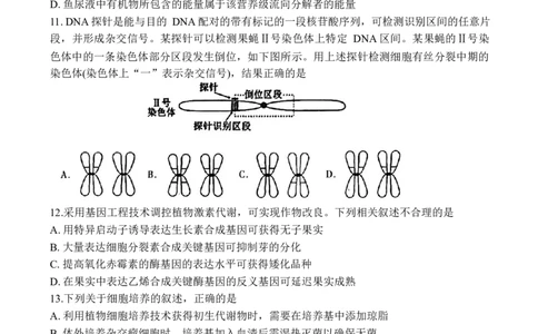 辽宁省部分高中2023-2024学年高三上学期期末考试生物试题_2024届辽宁省协作校高三上学期1月期末联考_辽宁省协作校2024届高三上学期1月期末联考生物