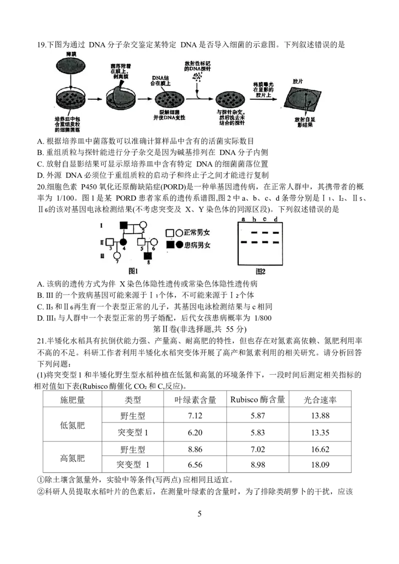 辽宁省部分高中2023-2024学年高三上学期期末考试生物试题_2024届辽宁省协作校高三上学期1月期末联考_辽宁省协作校2024届高三上学期1月期末联考生物