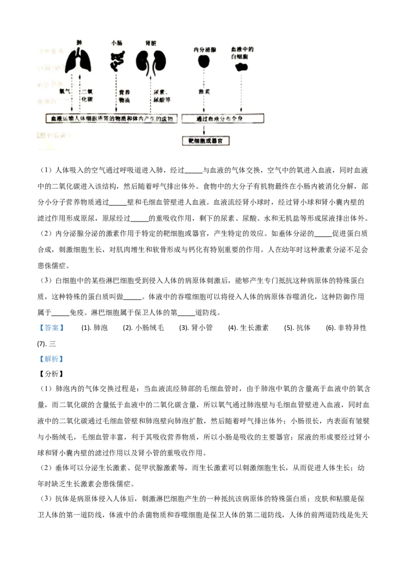精品解析：山东省泰安市2020年中考生物试题（解析版）_中考真题_8.生物中考真题2015-2024年_2020生物真题74份_2020年中考真题精品解析生物（山东泰安卷）精编word版