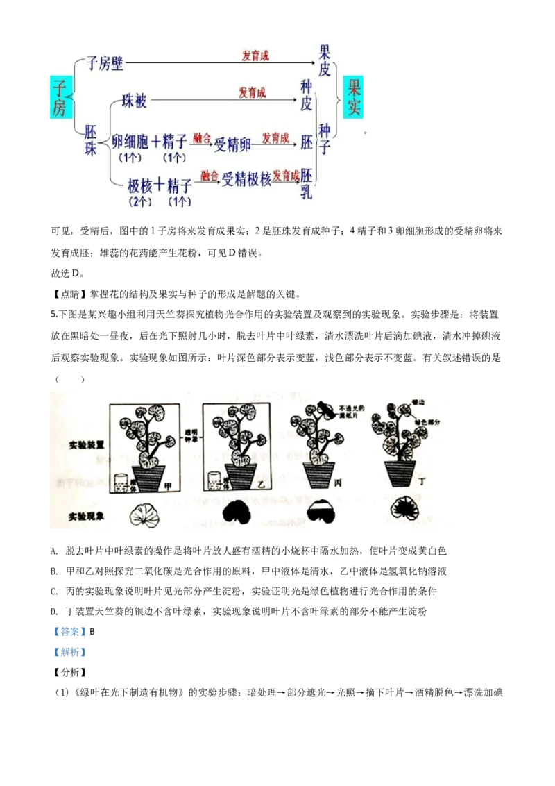 精品解析：山东省泰安市2020年中考生物试题（解析版）_中考真题_8.生物中考真题2015-2024年_2020生物真题74份_2020年中考真题精品解析生物（山东泰安卷）精编word版