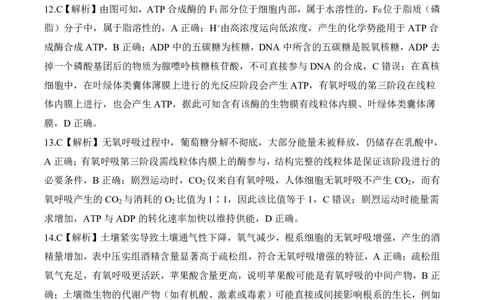 一轮一16单选（E）生物学答案_2025年10月_2510182026届百师联盟高三上学期第一次调研考试（10月）（全科）_2026届百师联盟高三上学期第一次调研考试生物试卷（含答案）