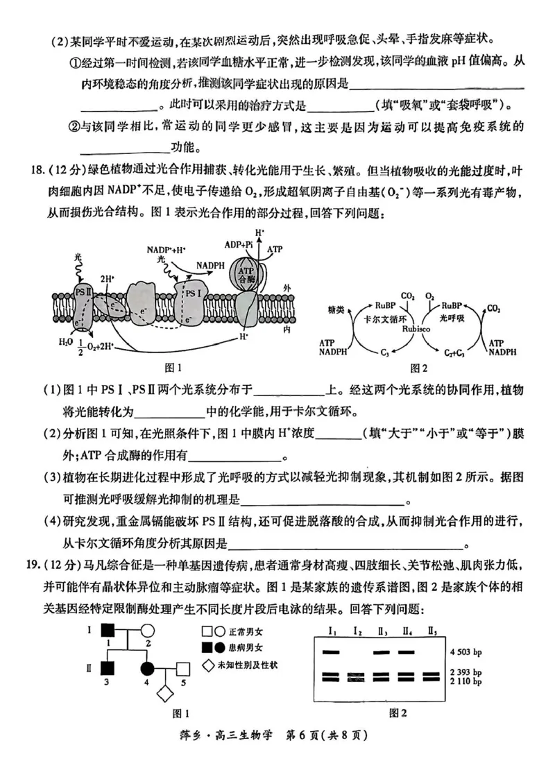2025届江西省萍乡市高三下学期三模生物试题（含答案）_2025年5月_250521江西省萍乡市2025届高三下学期第三次模拟考试（全科）
