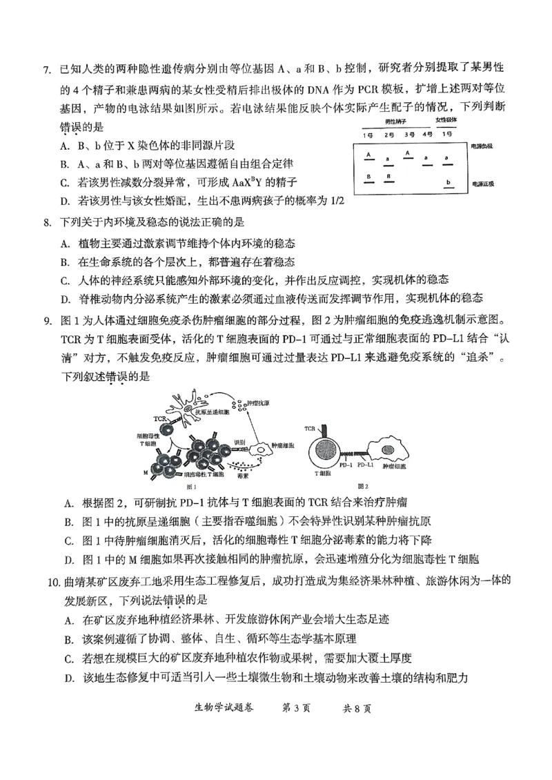 云南省曲靖市2025届高三上学期第一次教学质量监测生物_2025年1月_250125云南省曲靖市2025届高三上学期第一次教学质量监测（全科）