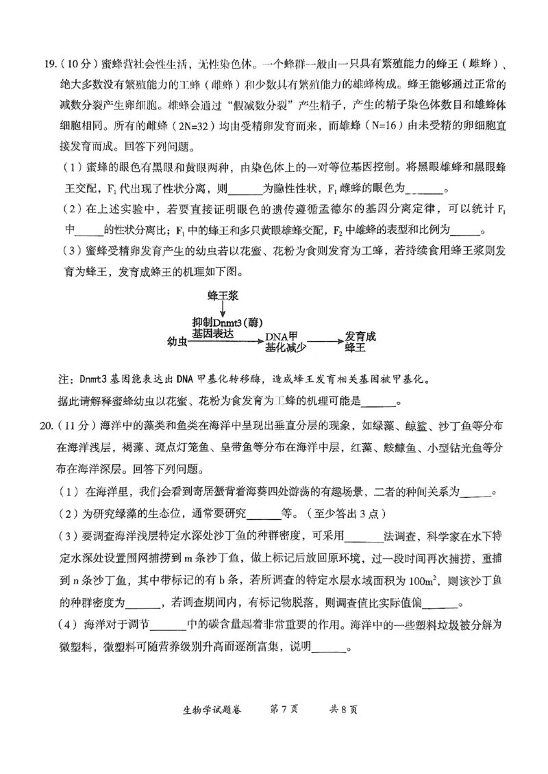 云南省曲靖市2025届高三上学期第一次教学质量监测生物_2025年1月_250125云南省曲靖市2025届高三上学期第一次教学质量监测（全科）