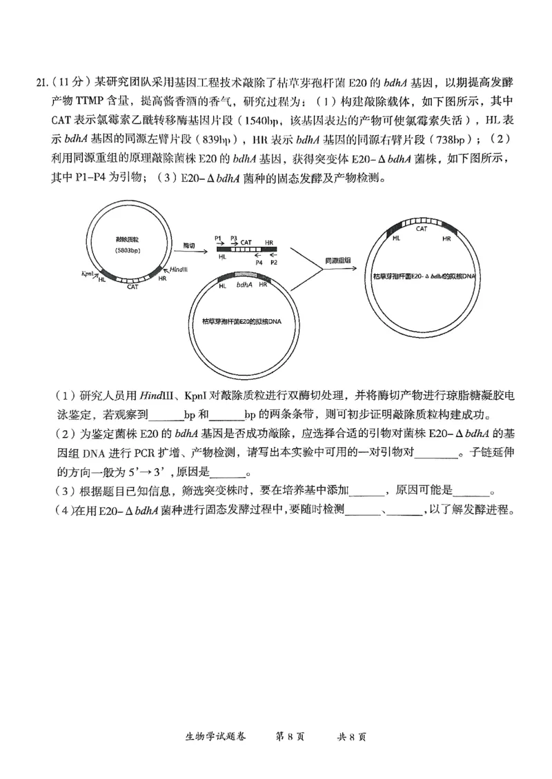 云南省曲靖市2025届高三上学期第一次教学质量监测生物_2025年1月_250125云南省曲靖市2025届高三上学期第一次教学质量监测（全科）