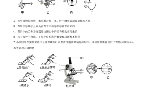精品解析：四川省资阳市2021年生物中考试题（原卷版）_中考真题_8.生物中考真题2015-2024年_2021中考生物真题64份_2021四川_精品解析：四川省资阳市2021年生物中考试题