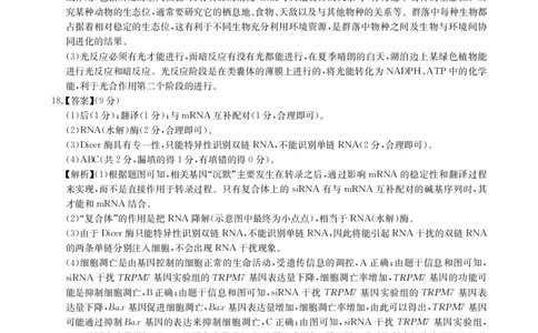 华大新高考联盟2025届高三下学期3月教学质量测评生物答案_2025年3月_250329华大新高考联盟2025届高三下学期3月教学质量测评（全科）