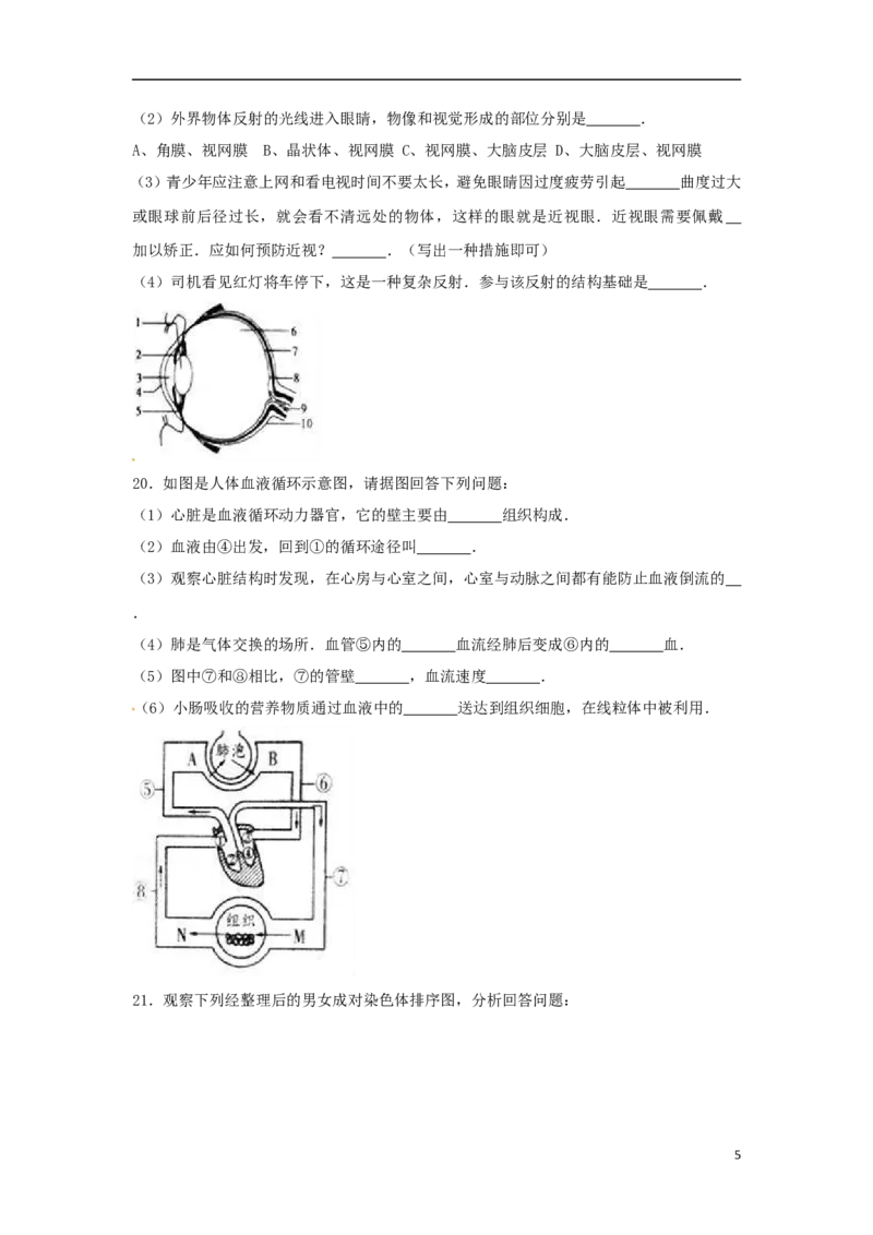 辽宁省营口市2017年中考生物真题试题（含解析）_中考真题_8.生物中考真题2015-2024年_2017年全国中考生物124份