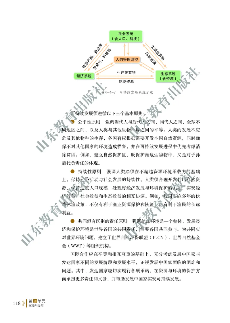 鲁教版高中地理必修2_4-教培资料-26年最新资料-同步更新_初中高中教资_03科三专项（进去保存报考的学科即可）_02科三专项（笔记真题思维导图教学设计版本二）
