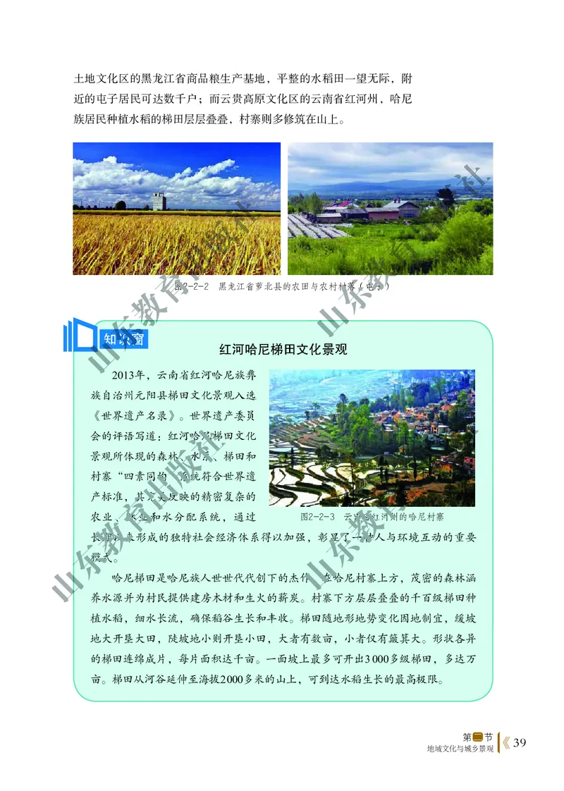 鲁教版高中地理必修2_4-教培资料-26年最新资料-同步更新_初中高中教资_03科三专项（进去保存报考的学科即可）_02科三专项（笔记真题思维导图教学设计版本二）