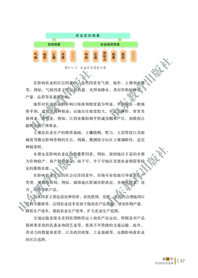 鲁教版高中地理必修2_4-教培资料-26年最新资料-同步更新_初中高中教资_03科三专项（进去保存报考的学科即可）_02科三专项（笔记真题思维导图教学设计版本二）