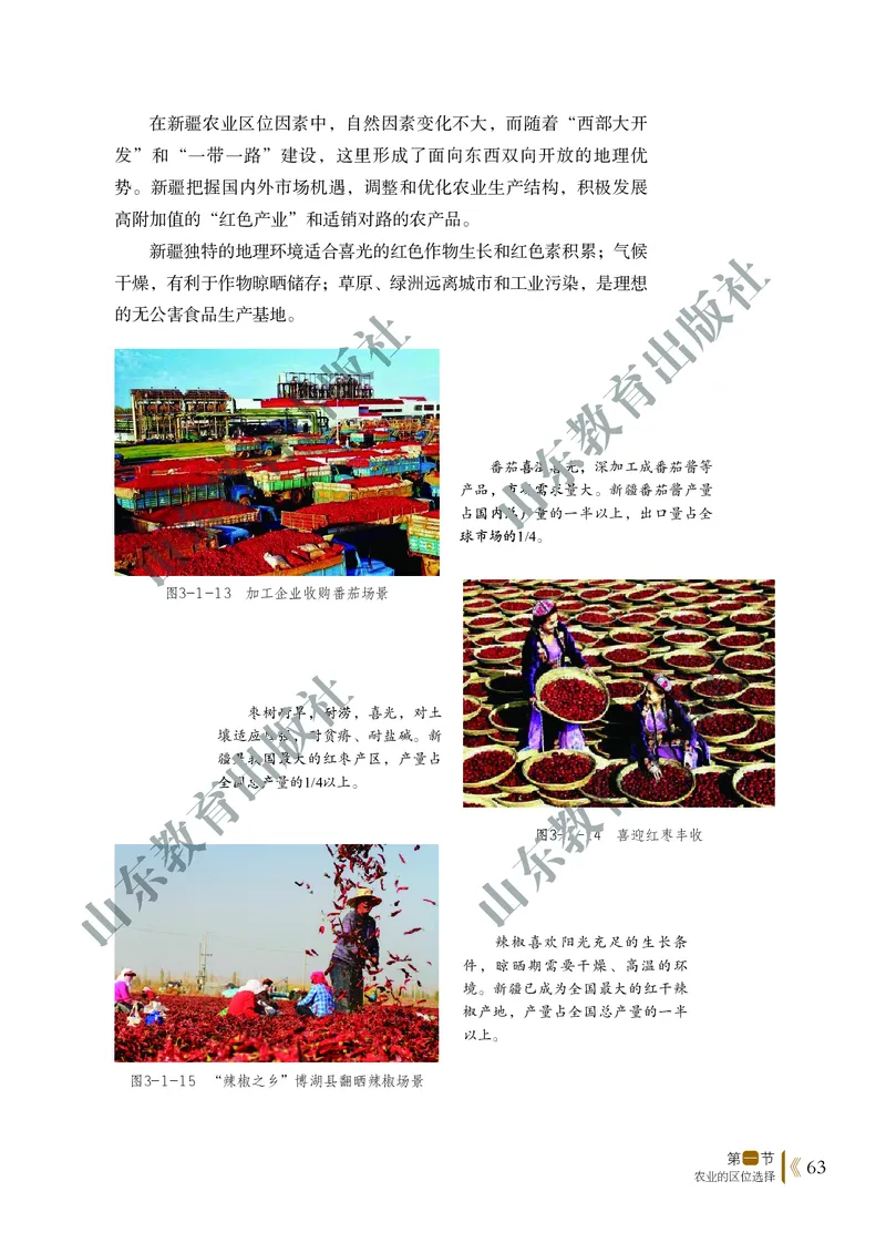 鲁教版高中地理必修2_4-教培资料-26年最新资料-同步更新_初中高中教资_03科三专项（进去保存报考的学科即可）_02科三专项（笔记真题思维导图教学设计版本二）