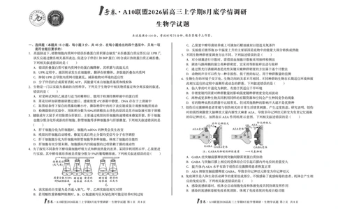 1号卷&middot;A10联盟2026届高三上学期8月底学情调研生物学_2025年8月_2508291号卷&middot;A10联盟2026届高三上学期8月底学情调研（全科）