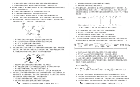 1号卷&middot;A10联盟2026届高三上学期8月底学情调研生物学_2025年8月_2508291号卷&middot;A10联盟2026届高三上学期8月底学情调研（全科）