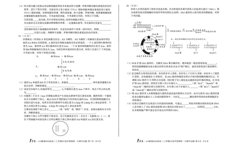 1号卷&middot;A10联盟2026届高三上学期8月底学情调研生物学_2025年8月_2508291号卷&middot;A10联盟2026届高三上学期8月底学情调研（全科）