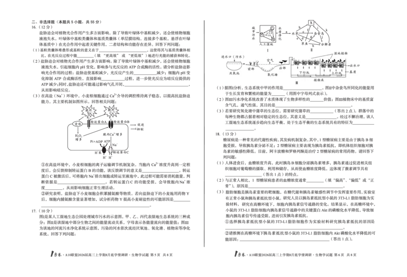1号卷&middot;A10联盟2026届高三上学期8月底学情调研生物学_2025年8月_2508291号卷&middot;A10联盟2026届高三上学期8月底学情调研（全科）