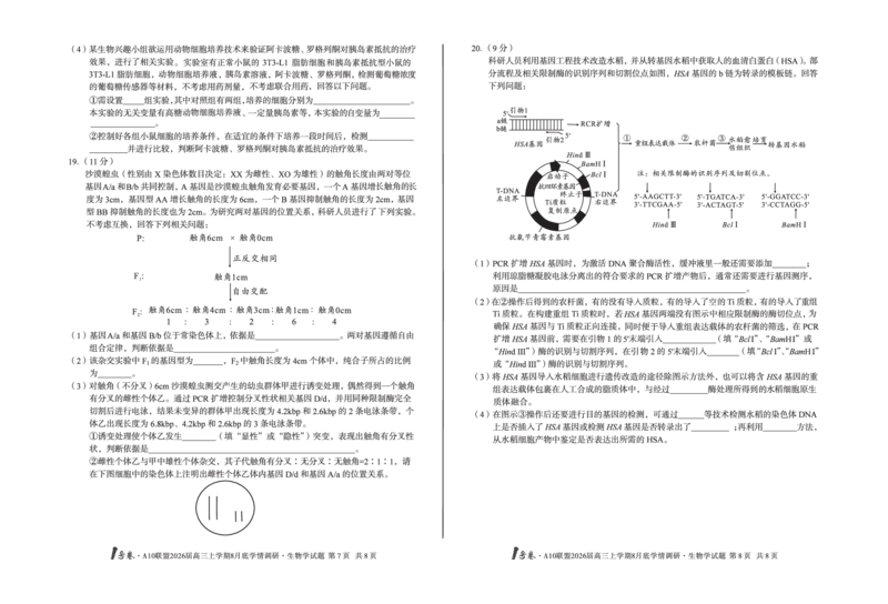 1号卷&middot;A10联盟2026届高三上学期8月底学情调研生物学_2025年8月_2508291号卷&middot;A10联盟2026届高三上学期8月底学情调研（全科）