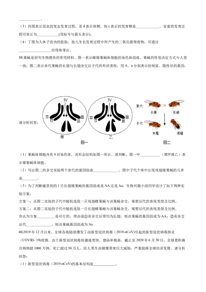 精品解析：湖南省湘潭市2020年中考生物试题（原卷版）_中考真题_8.生物中考真题2015-2024年_2020生物真题74份_2020年中考真题精品解析生物（湖南湘潭卷）精编word版