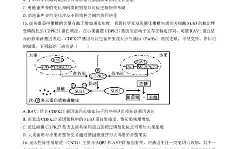 2025年普通高校招生选择性考试适应性演练陕西生物Word版无答案_2025年1月_❤2025年高考综合改革适应性演练（八省联考）(1)