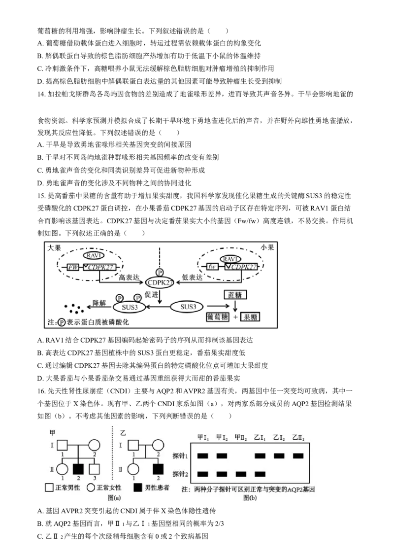 2025年普通高校招生选择性考试适应性演练陕西生物Word版无答案_2025年1月_❤2025年高考综合改革适应性演练（八省联考）(1)