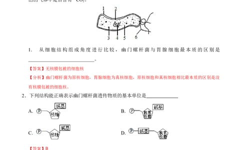 高一生物期中模拟卷（全解全析）（上海专用）_1多考区联考试卷_1021高一期中模拟卷（上海专用）黄金卷：2024-2025学年高一上学期期中模拟考试